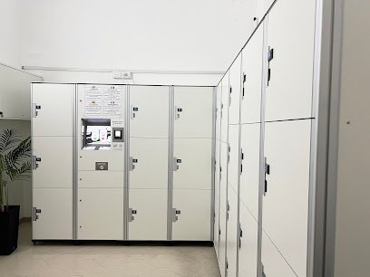 Sapta Luggage Storage and Transfers –Vatican & St. Peter’s Basilica